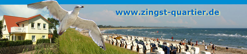 Zingst-Quatier