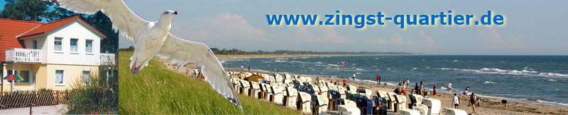 Zingst-Quatier
